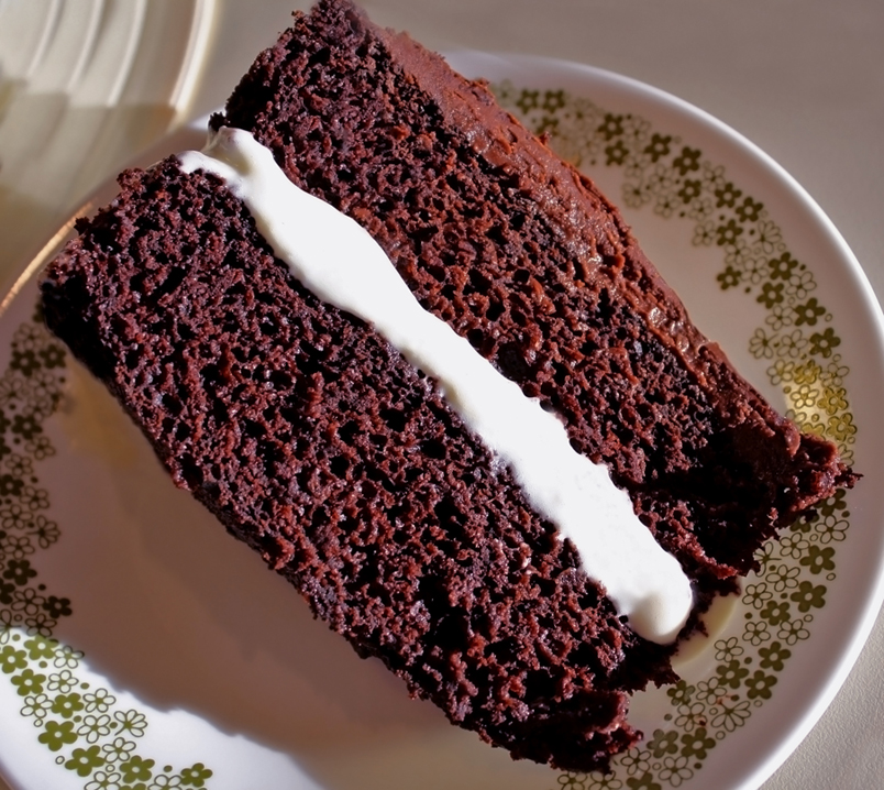 Best Filling For Chocolate Cake Recipes Chocolate Cake With Coconut Filling The Love Of Cakes 9568