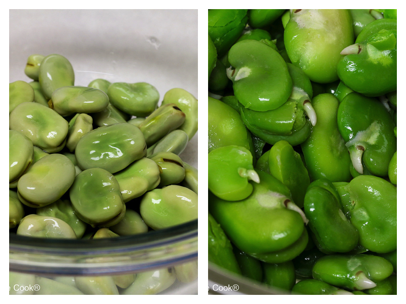 Left - fava beans with their skins on and Right - fresh bright green peeled fava beans. 