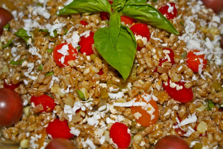 Farro Parmesan Salad • The Heritage Cook