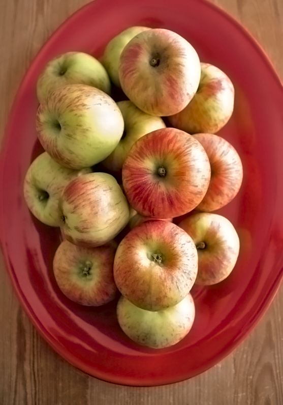 GRAVENSTEIN APPLES, A LOCAL FAVORITE — Earl's Organic Produce