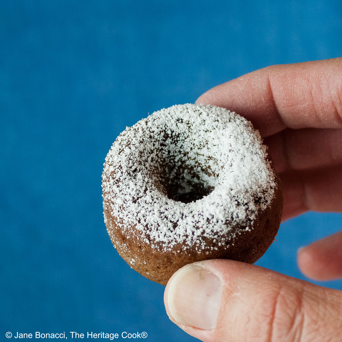 Gluten-Free Mini Baked Chocolate Cake Donuts copyright 2012 Jane Evans Bonacci, The Heritage Cook Fingers holding a donut topped with powdered sugar, with a bold blue background.