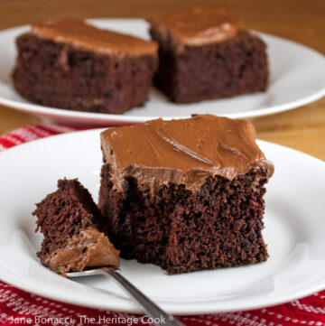 Square slice of chocolate cake with chocolate frosting on white plate with red napkin beneath, sometimes with a bite on a fork on the plate © 2023 Jane Bonacci, The Heritage Cook.