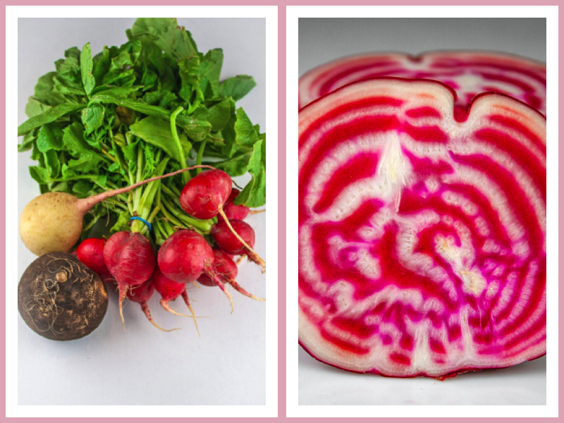 Red, watermelon, and black radishes; Chioggia beet