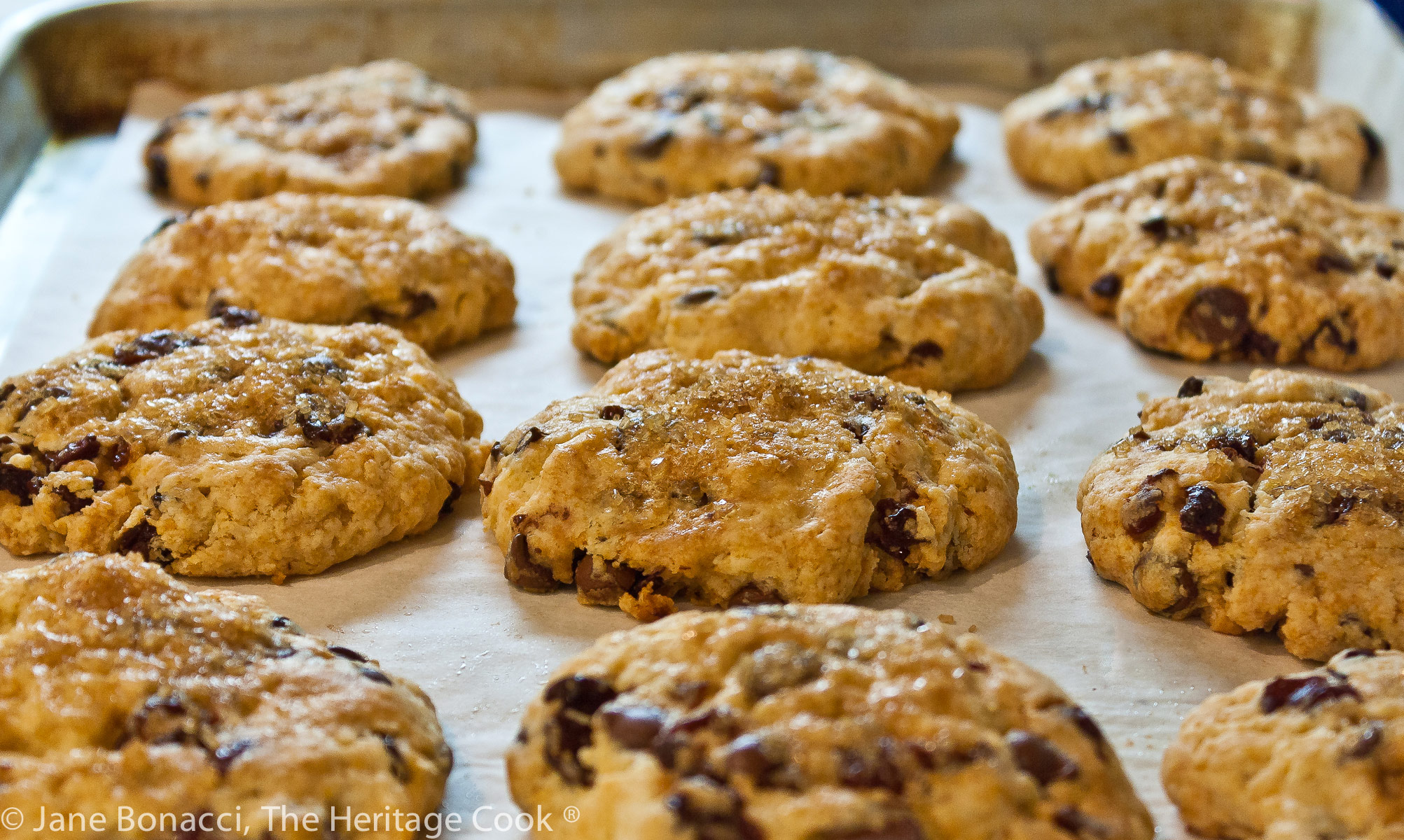 baking sheet of hot-from-the-oven chocolate chip cherry cream scones. 