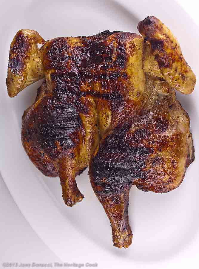 Grilled whole butterflied chicken