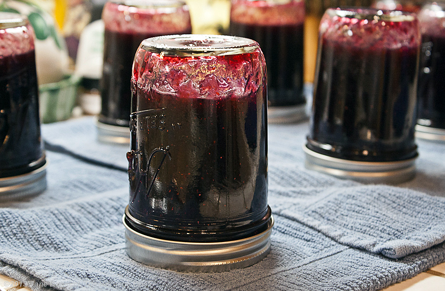 Homemade Blueberry Jam from The Heritage Cook; jars upside down on counter creating a tight seal