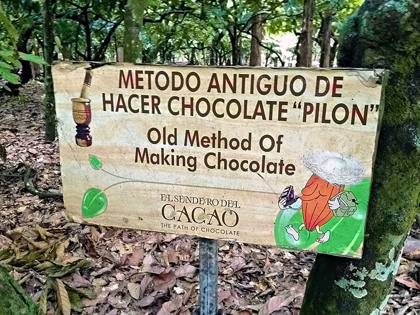 El Sendero Del Cacao Farm; 2014 Marnely Rodriguez-Murray, Cooking With Books