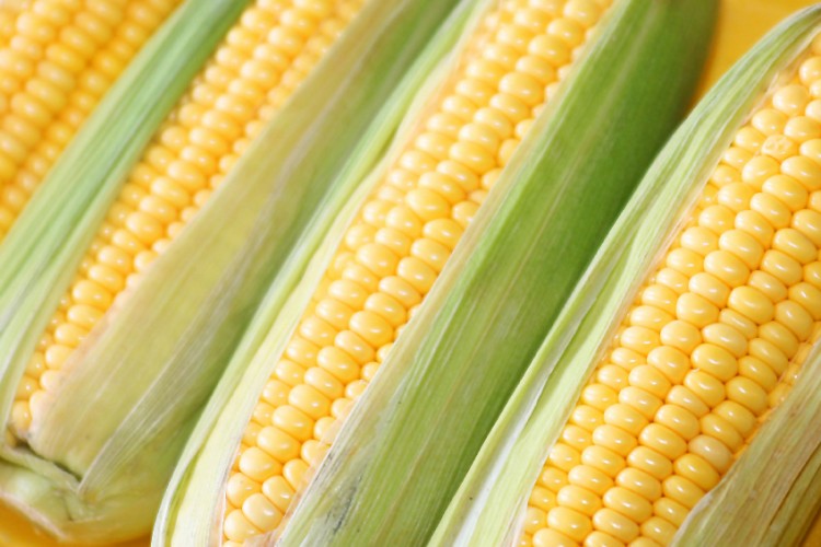 Mexican Elote Corn Casserole FN SummerSoiree (GlutenFree) • The