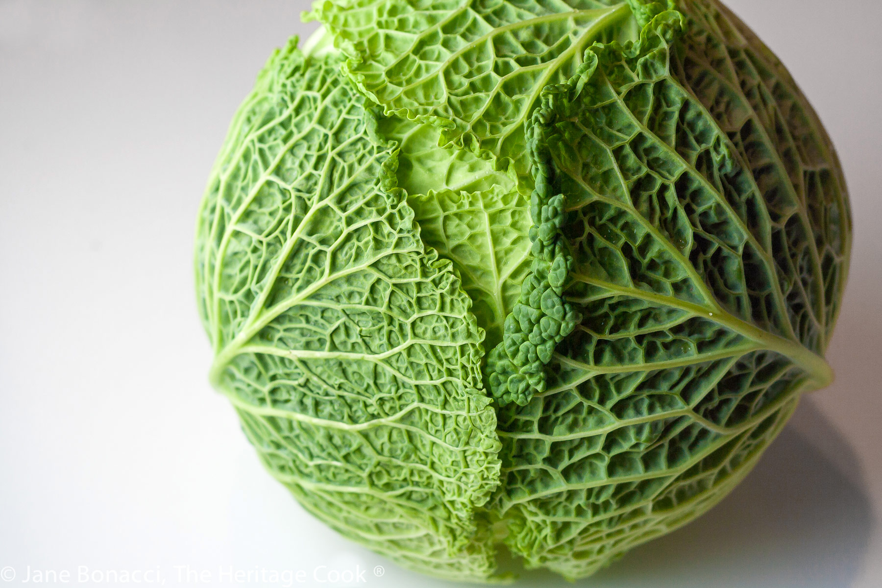 Whole round green cabbage on a white background. 