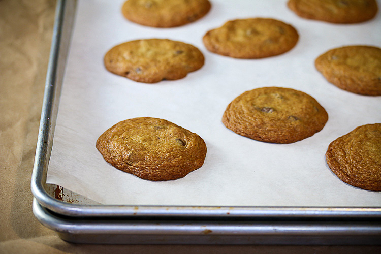 Hot from the oven; Powdered Peanut Butter Chocolate Chip Cookies SRC; 2015 Jane Bonacci, The Heritage Cook