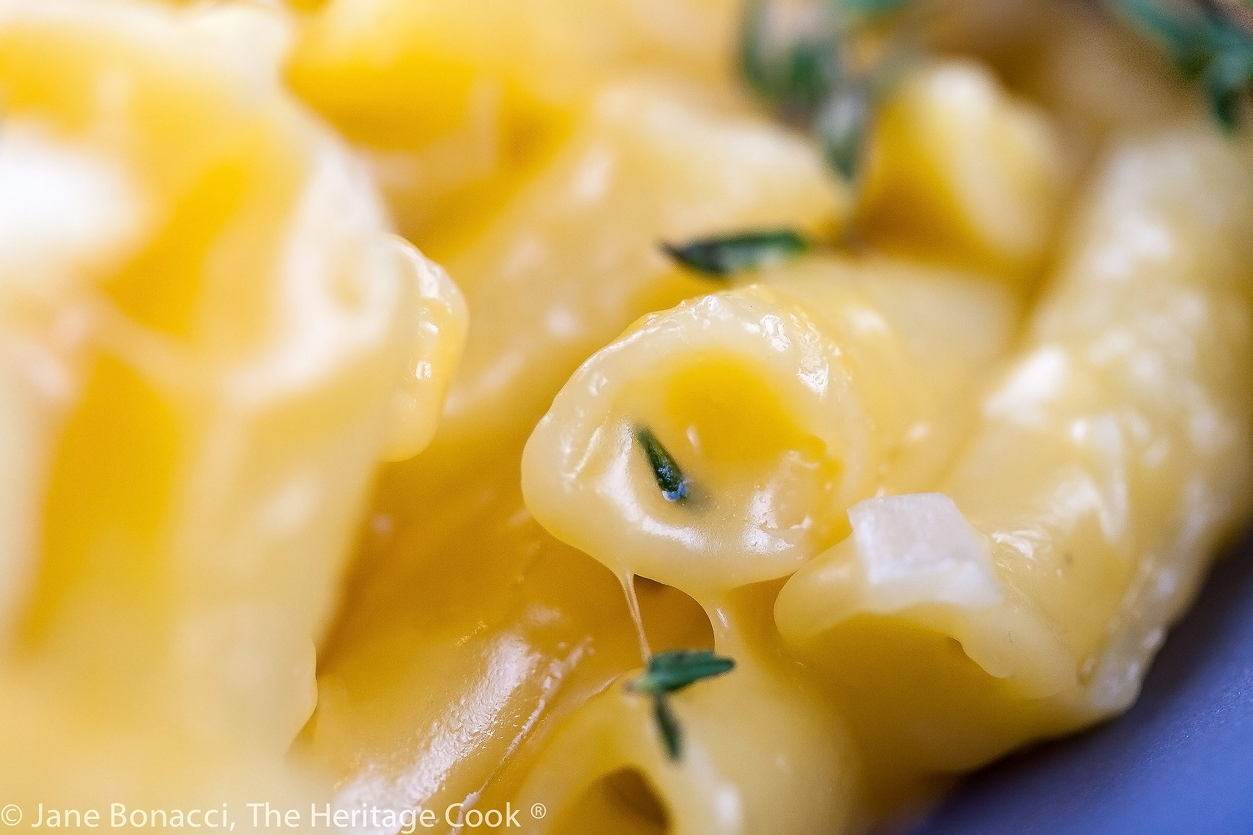 Close up of cheese sauce on pasta; Yellow mac and cheese on a blue plate with green thyme sprigs on top; Cheese Fondue Mac and Cheese © 2022 Jane Bonacci, The Heritage Cook. 