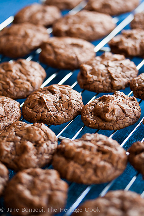Chocolate Brownie Cookies © Jane Bonacci, The Heritage Cook, all rights reserved 