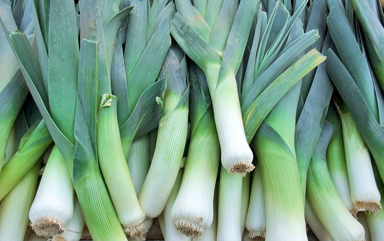 Stacked Leeks at the market