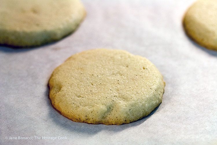 Hot from the oven, slight coloring at the edges; Chocolate Stuffed Vanilla Shortbread Cookies (Gluten-Free) © 2017 Jane Bonacci, The Heritage Cook. All rights reserved. 