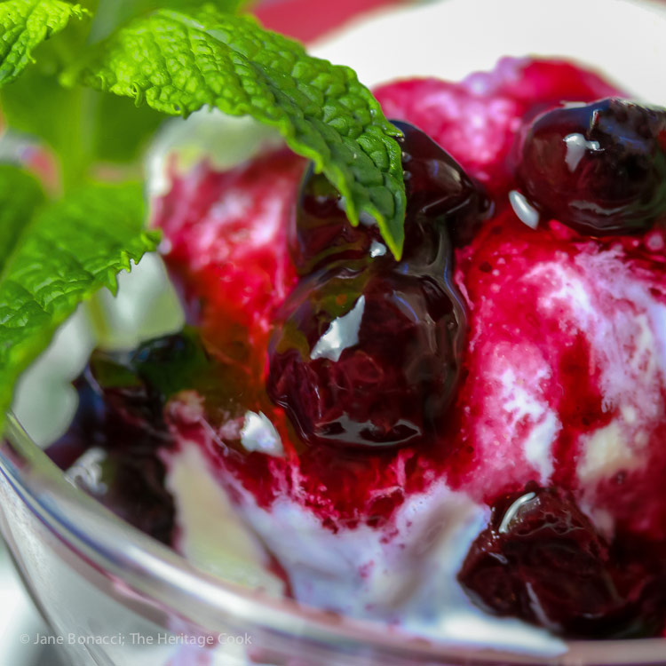 Close up of homemade blueberry sauce on vanilla ice cream with sprig of mint; Ice Cream Sundae with Fresh Homemade Blueberry Syrup © 2017 Jane Bonacci, The Heritage Cook