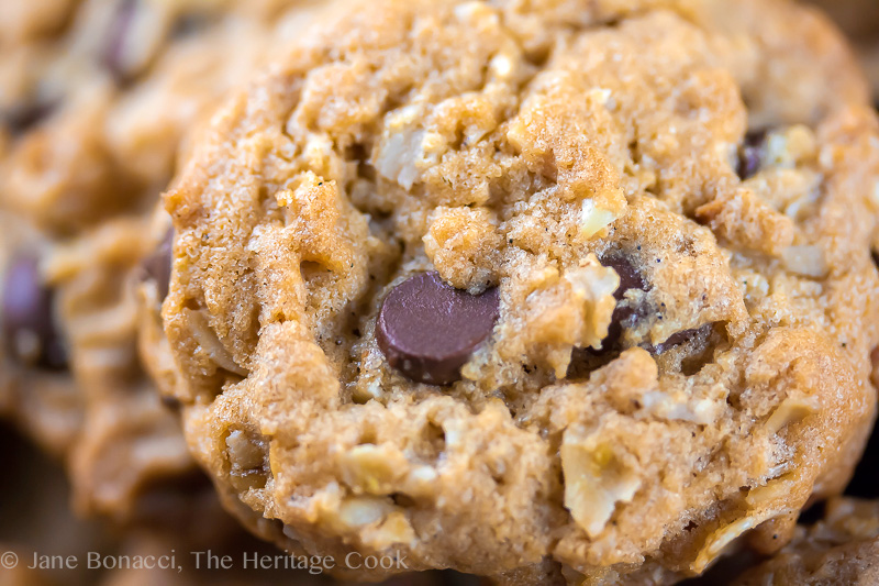 Close up of a single cookie; Oatmeal, Chocolate Chip, Peanut Butter Cookies (Gluten-Free); © 2017 Jane Bonacci, The Heritage Cook