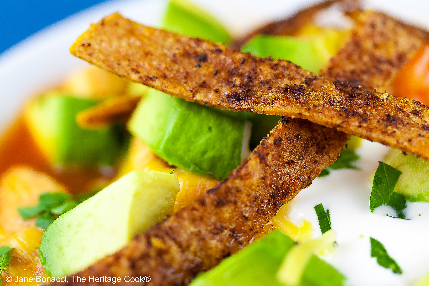Close up of toppings, focus on the tortilla strips. 