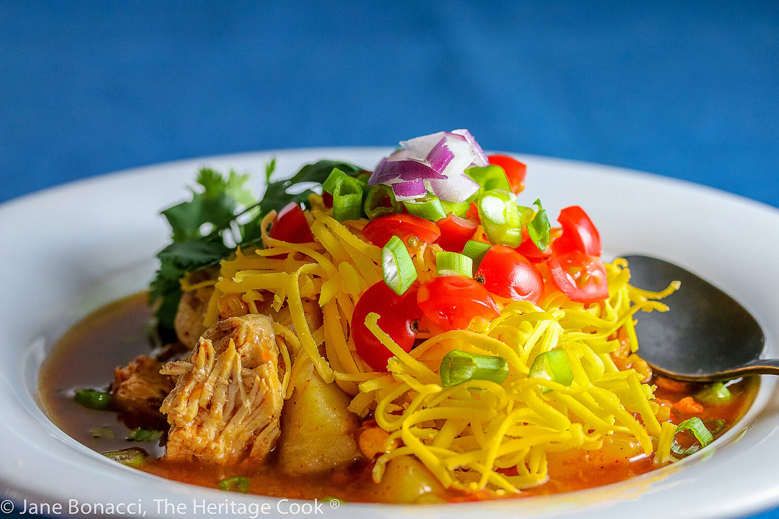 Instant Pot Chicken Enchilada Soup (GlutenFree) • The Heritage Cook