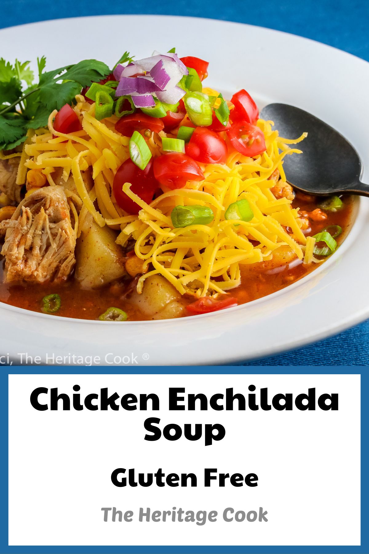 Deep red soup topped with a mountain of ingredients, grated cheese, tomatoes, cilantro, red and green onions, and more; Instant Pot Chicken Enchilada Soup © 2018 Jane Bonacci, The Heritage Cook. 