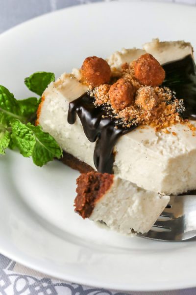 Coconut Cheesecake with Chocolate Sauce (Gluten-Free) © 2018 Jane Bonacci, The Heritage Cook