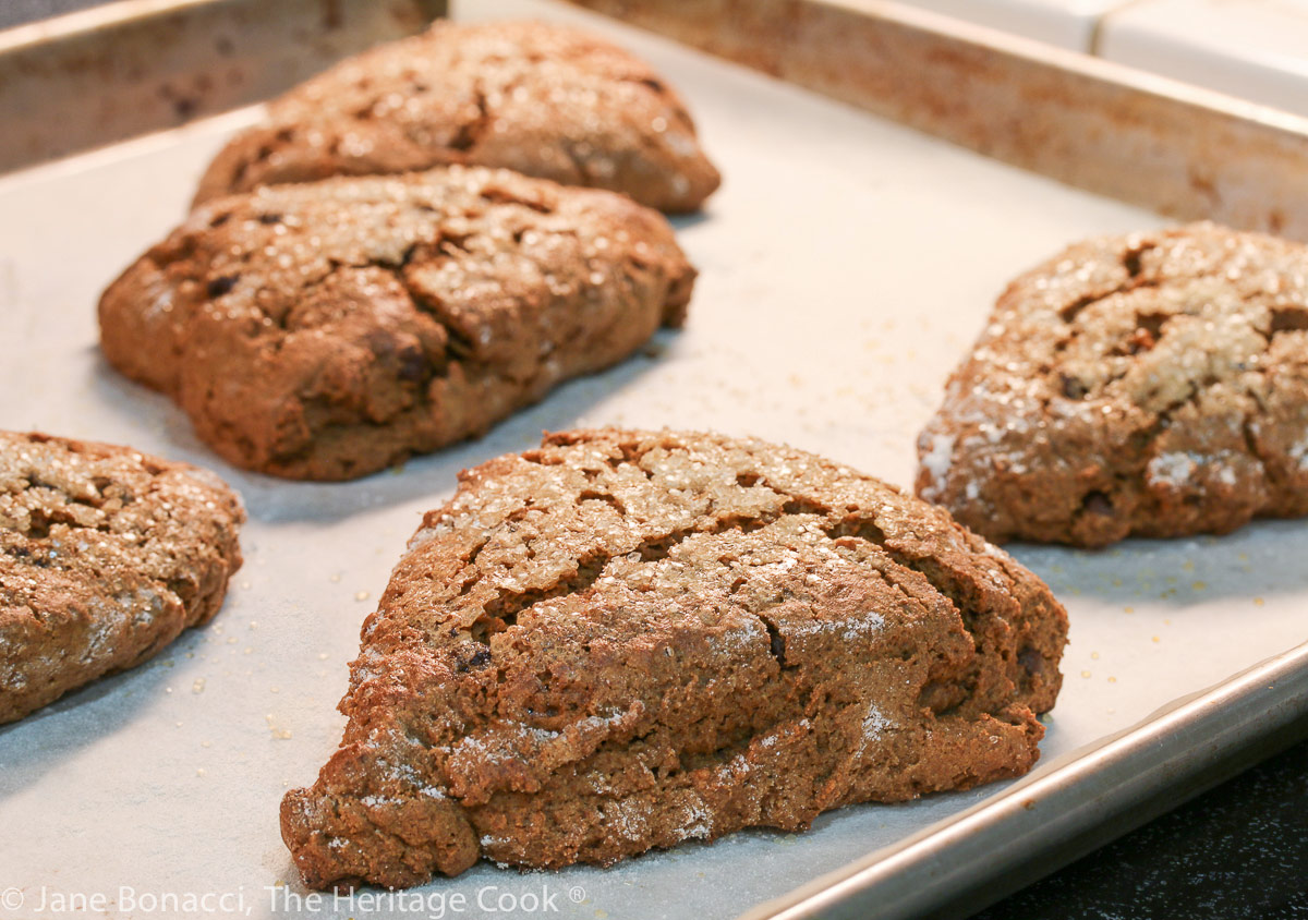 hot from the oven; Gingerbread Chocolate Chip Scones © 2022 Jane Bonacci, The Heritage Cook
