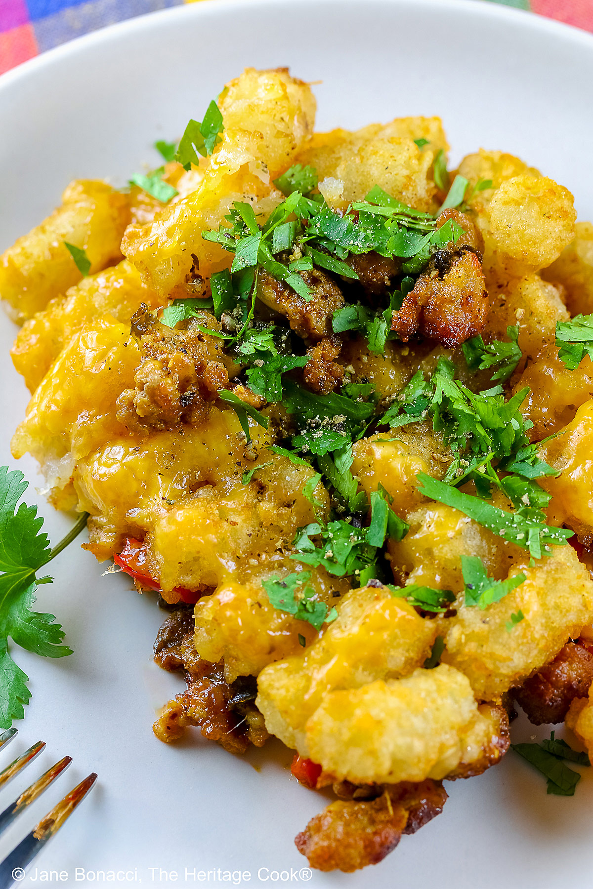Breakfast Tater Tot Casserole, layers of meat, vegetables, cheese and eggs, scooped onto a white plate with rows of tater tots on top covered with melted cheese and chopped parsley sitting on a brightly colored cloth © 2025 Jane Bonacci, The Heritage Cook.