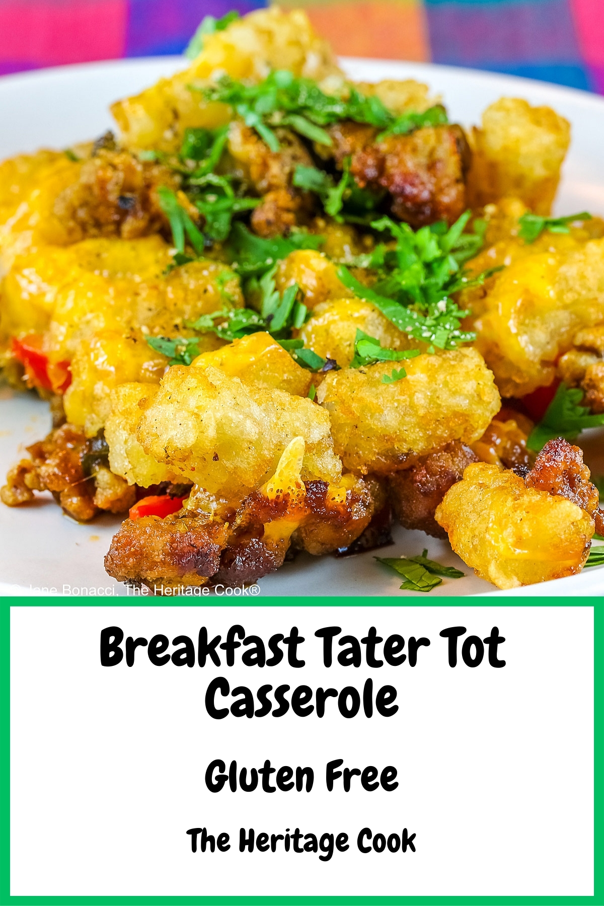 Breakfast Tater Tot Casserole, layers of meat, vegetables, cheese and eggs, scooped onto a white plate with rows of tater tots on top covered with melted cheese and chopped parsley sitting on a brightly colored cloth © 2025 Jane Bonacci, The Heritage Cook.