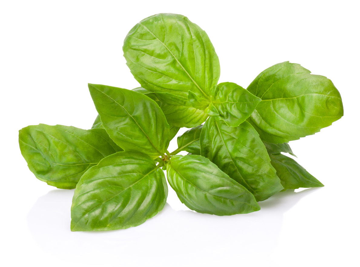 Sprigs of fresh basil