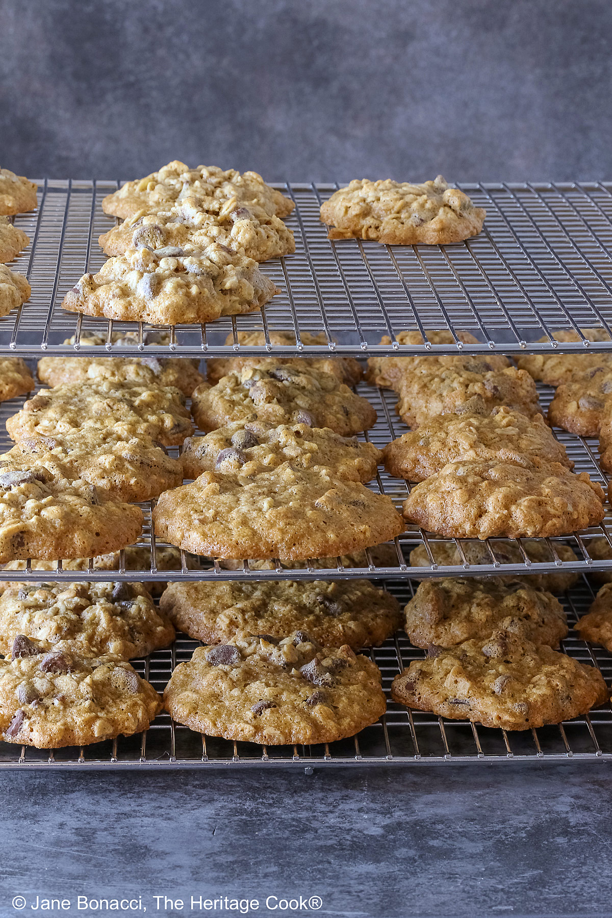 3 tiers of cooling cookies on wire racks; A large pile of amazing, delicious Chewy Oatmeal Chocolate Chip Cookies stacked on a rectangular blue platter sitting on a mottled gray background © 2026 Jane Bonacci, The Heritage Cook.