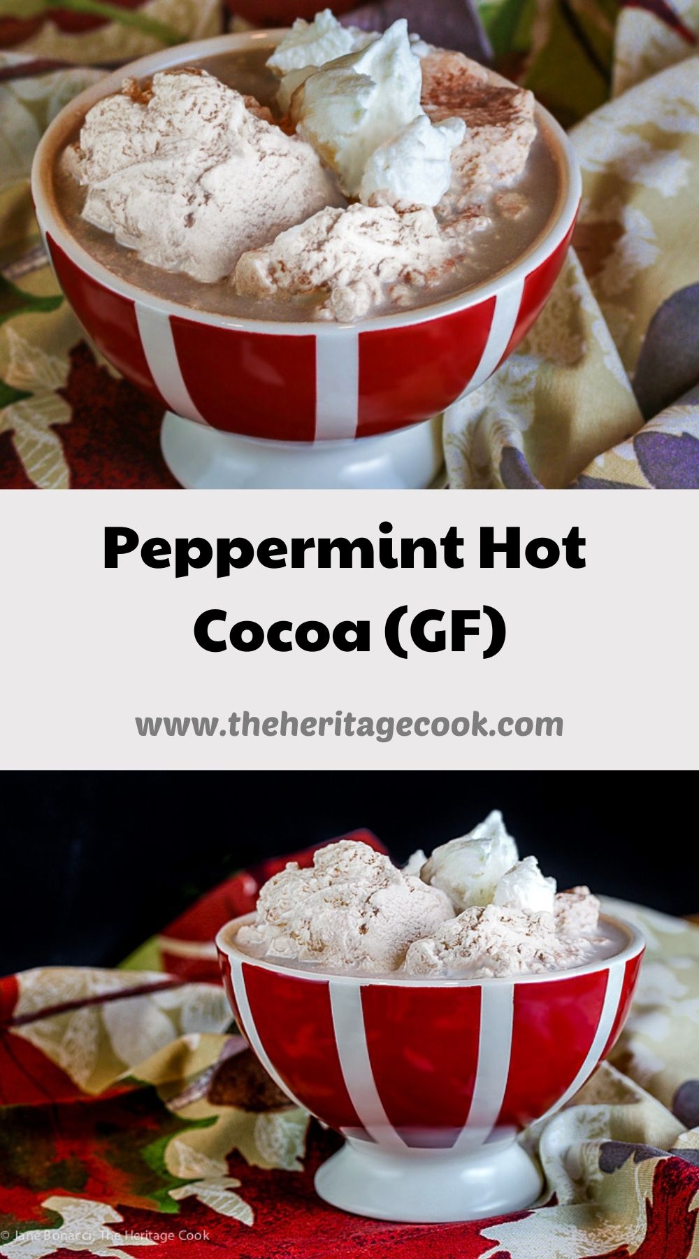 Peppermint Hot Cocoa with Fresh Whipped Cream; 2020 Jane Bonacci The Heritage Cook
