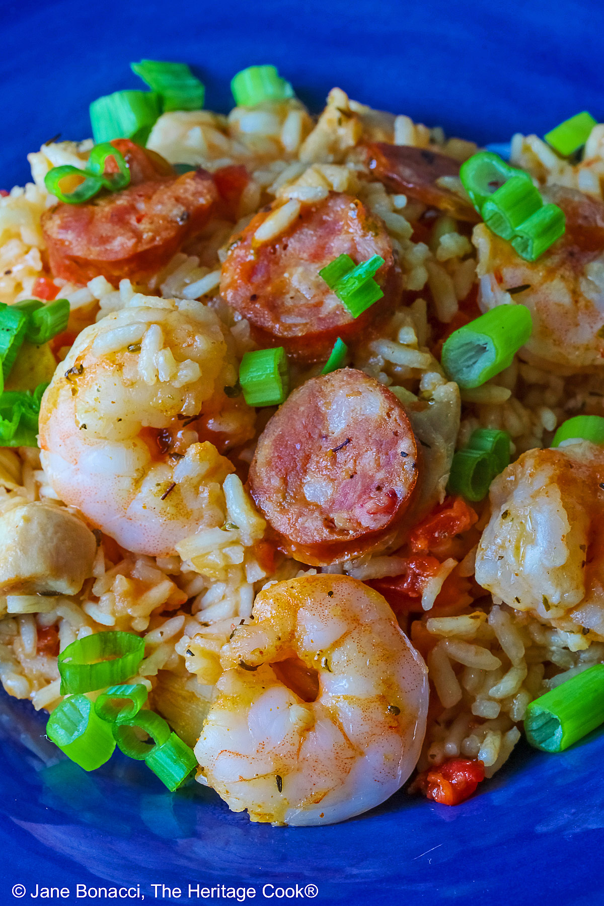 Mound of Easy New Orleans Jambalaya with chicken, shrimp, and sausages prominently placed and sprinkled with sliced green onions all in a dark blue bowl sitting on a brightly colored checked cloth © 2026 Jane Bonacci, The Heritage Cook.