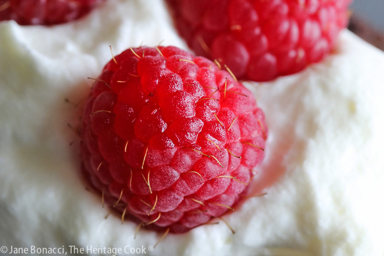 Close up of a raspberry on top of Individual Brownie Trifles © 2022 Jane Bonacci, The Heritage Cook