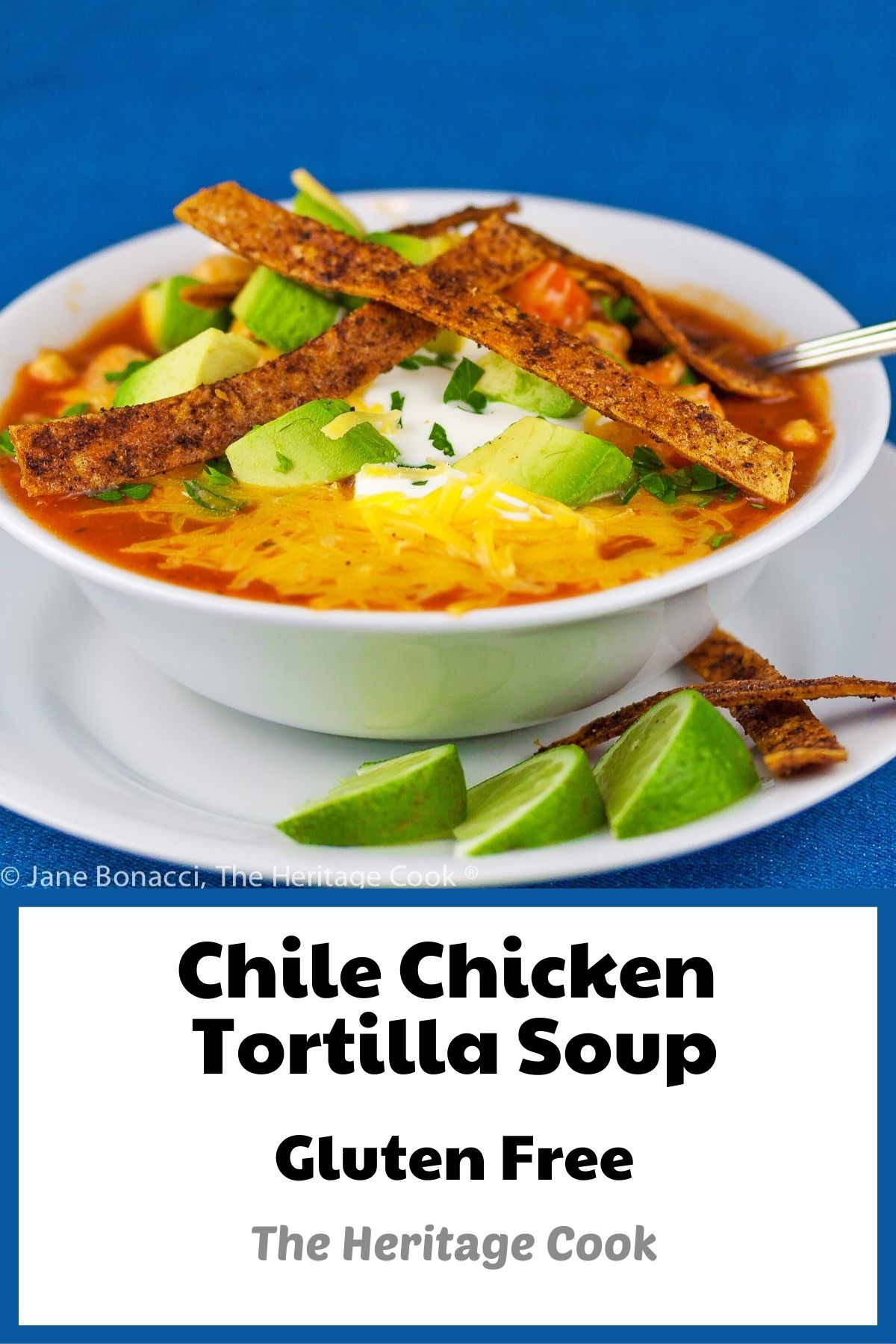 White bowl filled with chile red broth with chicken, melted cheese, sour cream, avocados, and spiced tortilla strips on a white plate with lime wedges and more tortilla strips © 2024 Jane Bonacci, The Heritage Cook.