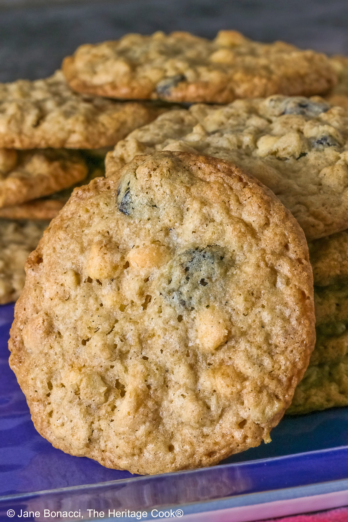 Close up of a single cookie; Elongated pile of White Chocolate Oatmeal Cherry cookies in the back with a stack of cookies in front and a single cookie propped against the stack on a blue rectangular platter with a multi-color cloth in front © 2025 Jane Bonacci, The Heritage Cook.