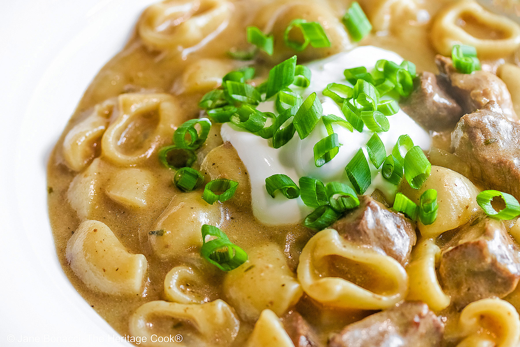 Wide rimmed white bowl filled with Easy Homemade Beef Stroganoff with pasta, beef, and sauce, topped with a dollop of sour cream and sprinkled with chopped green onions, sitting on a black background © 2025 Jane Bonacci, The Heritage Cook.