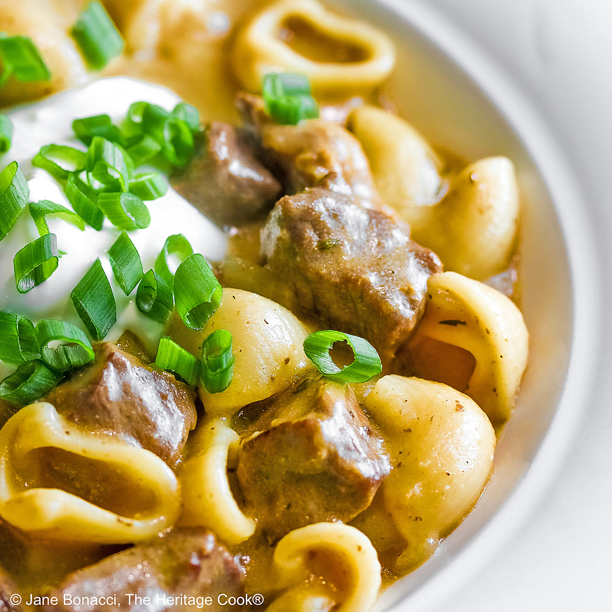 Wide rimmed white bowl filled with Easy Homemade Beef Stroganoff with pasta, beef, and sauce, topped with a dollop of sour cream and sprinkled with chopped green onions, sitting on a black background © 2025 Jane Bonacci, The Heritage Cook.