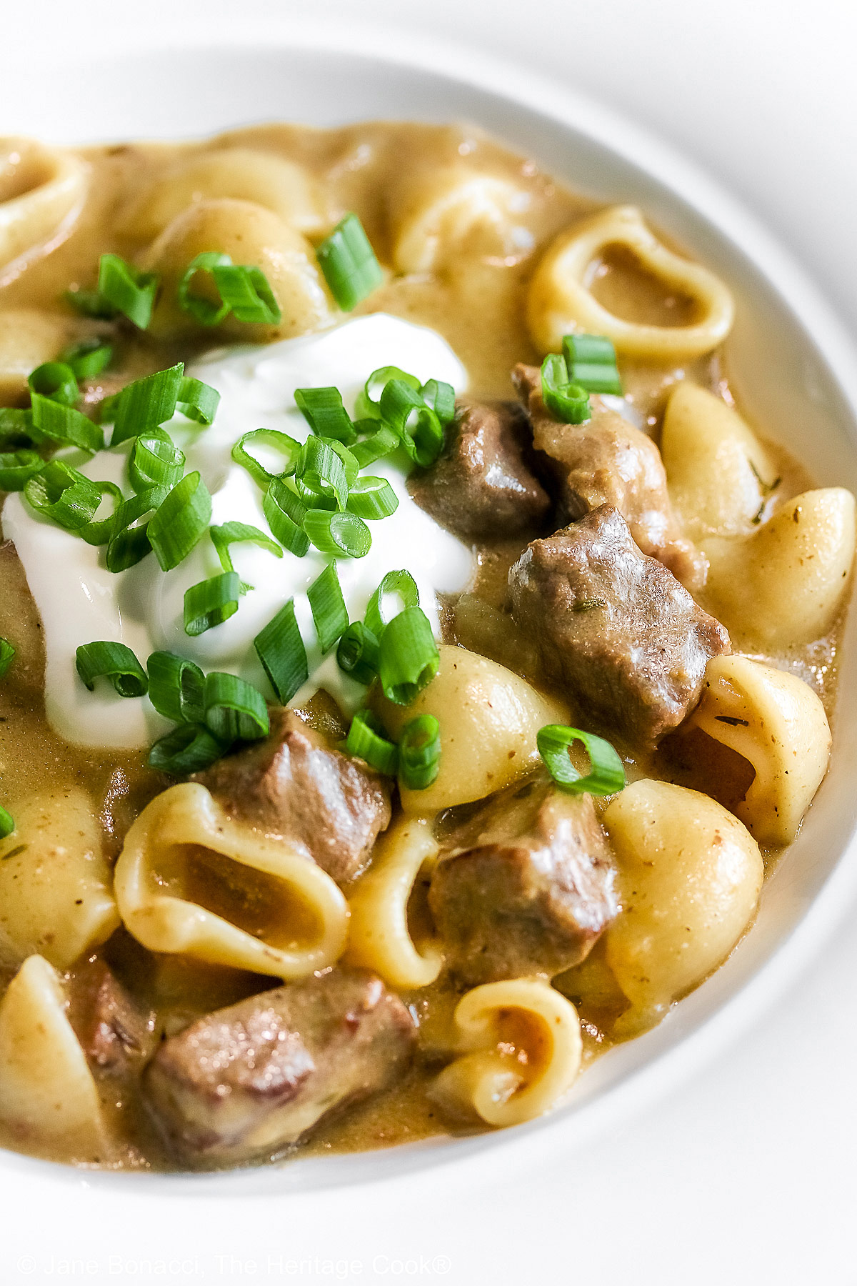 Wide rimmed white bowl filled with Easy Homemade Beef Stroganoff with pasta, beef, and sauce, topped with a dollop of sour cream and sprinkled with chopped green onions, sitting on a black background © 2025 Jane Bonacci, The Heritage Cook.