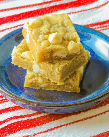 Small stack of Egg-Free White Chocolate Chip Blondies on a small dark blue plate, some on top of a little white plate, sitting on a red and white striped cloth on top of a mottled gray background © 2026 Jane Bonacci, The Heritage Cook.