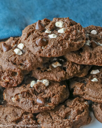 Hot Cocoa Cookies stacked in a wide pyramid shape, each cookie topped with extra micro mini marshmallow bits and chocolate chips, a big pile of dark brown chocolate cookies © 2026 Jane Bonacci, The Heritage Cook.
