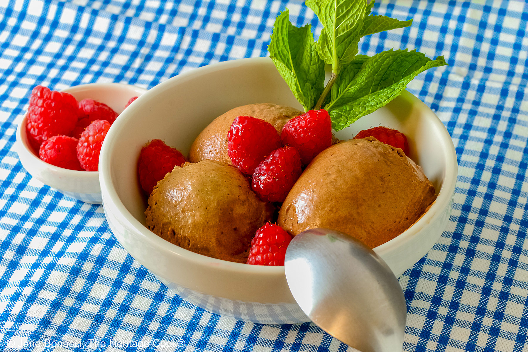 Three scoops of Double Dark Chocolate No-Churn Ice Cream topped with fresh red raspberries and a sprig of mint, sitting on a blue and white checked cloth on a mottled gray background with a spoon resting on the edge of the bowl © 2026 Jane Bonacci, The Heritage Cook.